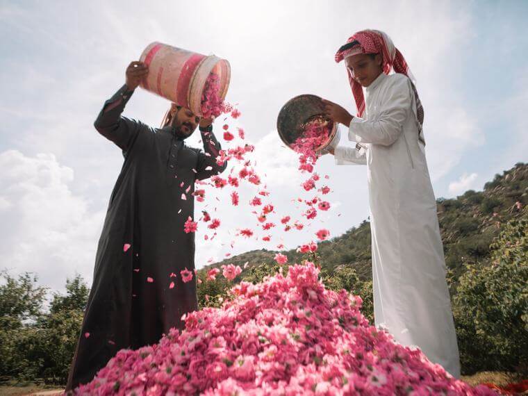 Where Are the Rose Farms in Taif?